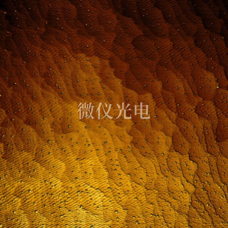AFM原子力显微镜制样时要注意的关键点：确保实验**度的全流程指南